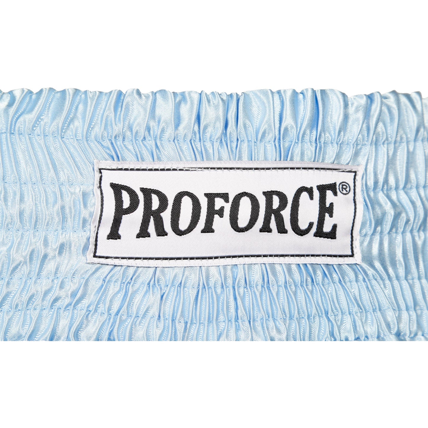 ProForce Sport Angel Wing Muay Thai Shorts - w/ Light Blue Bows