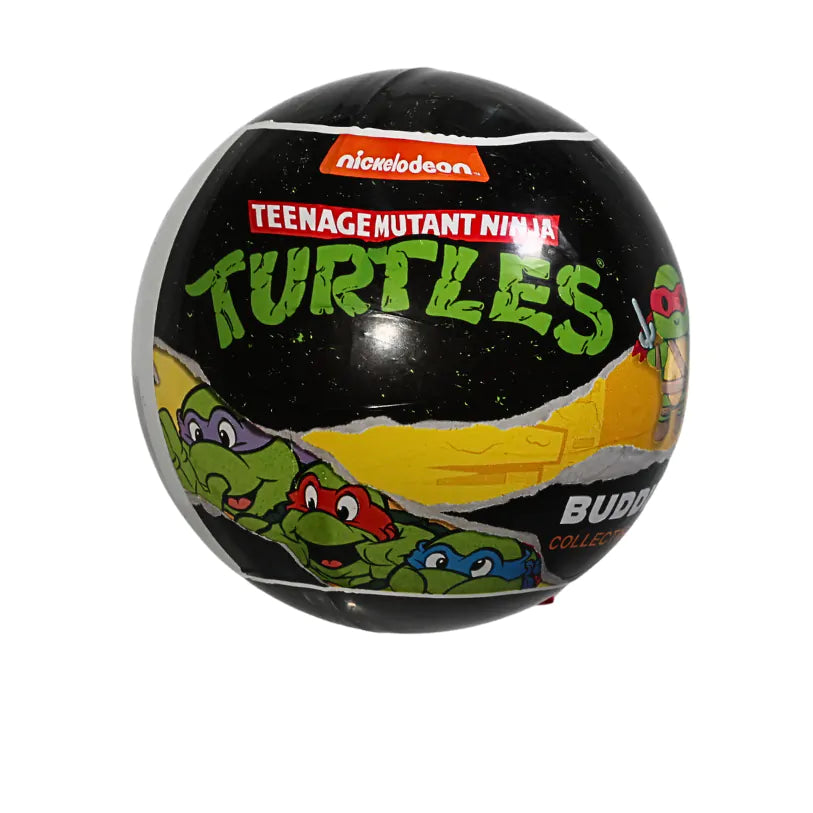 TMNT - Teenage Mutant Ninja Turtles Blind Capsule - Assorted Styles (Sold Individually)