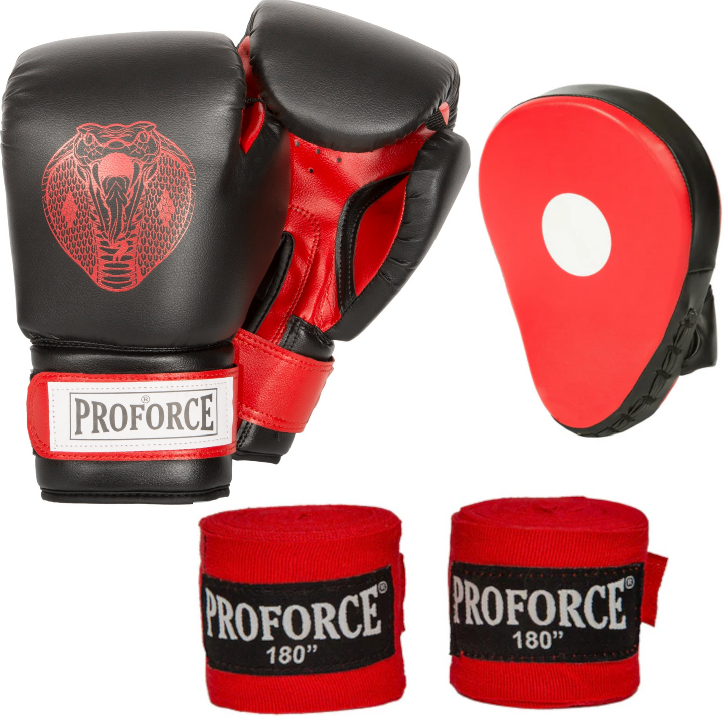 Martial Arts Boxing Set with Gloves, Punch Mitts and Hand Wraps