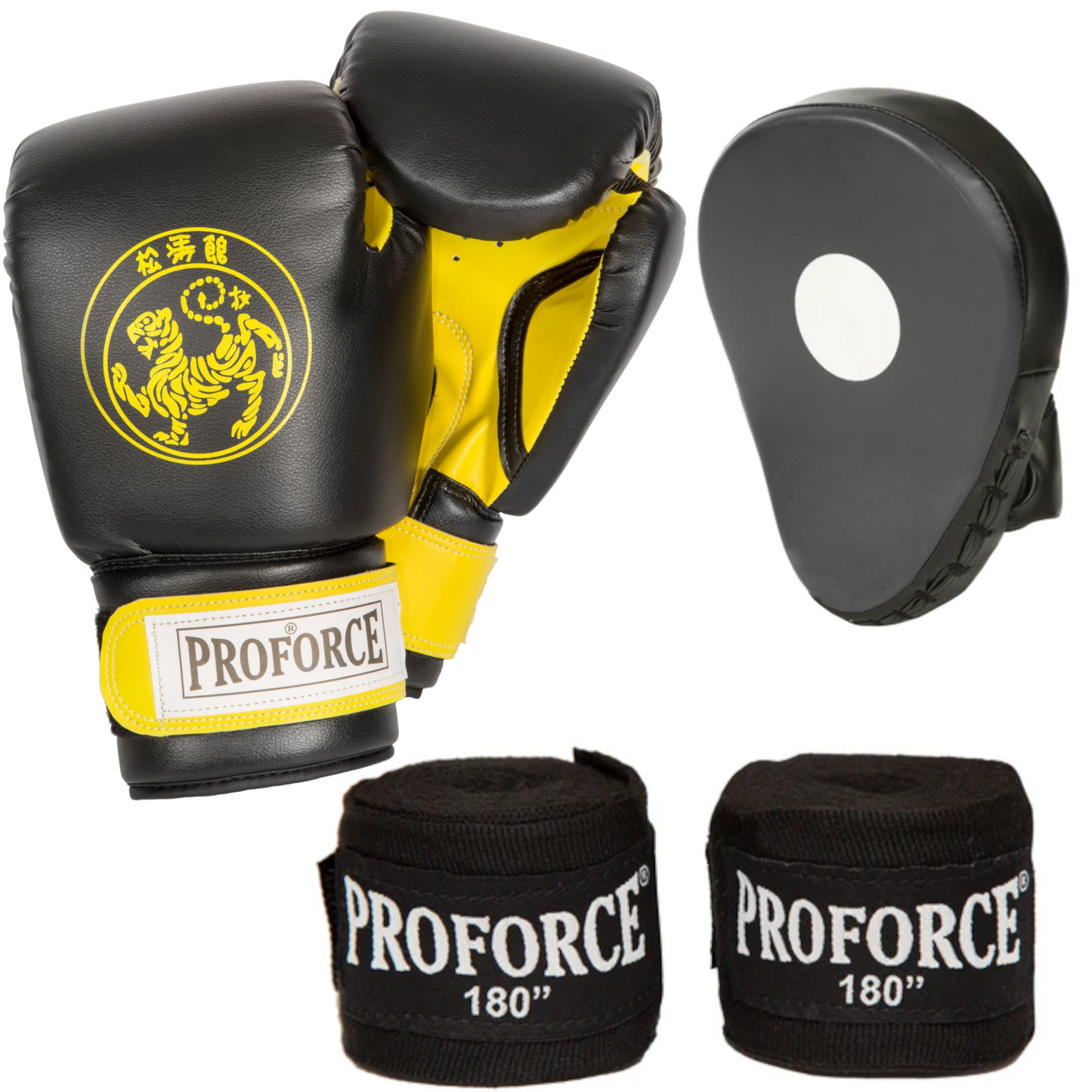 Martial Arts Boxing Set with Gloves, Punch Mitts and Hand Wraps